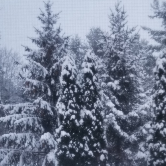 LIFE EMERGENCY SORRY Happy holidays 2 My pffs, fam, bf's of all time - Picture 2 of 5